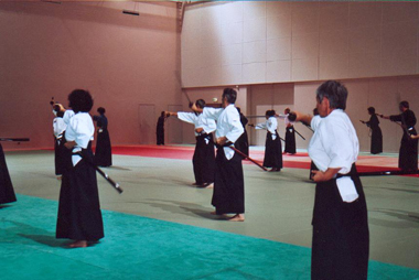 iaido